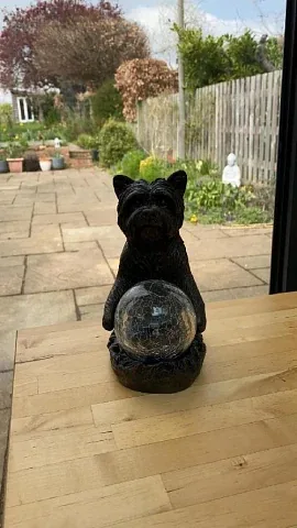 Mystic Dog - booker