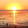 Mark Angermayer