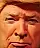 President Trump