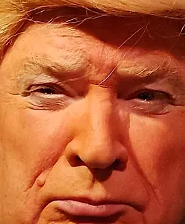 President Trump