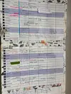 Steve Webster