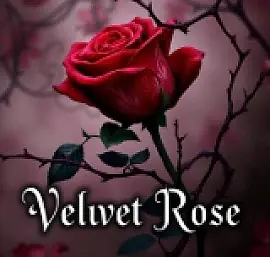 Velvet Rose