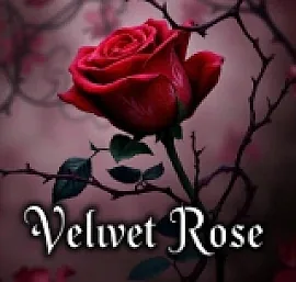 Velvet Rose - comedian