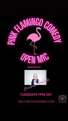 Pink Flamingo Comedy 