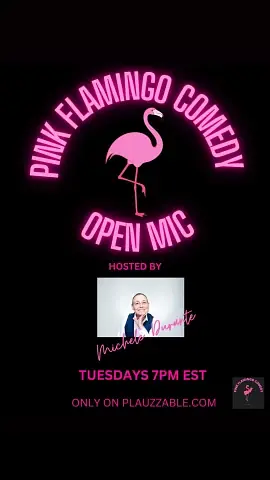 Pink Flamingo Comedy - comedy show