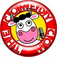 Comedy Night - comedy show