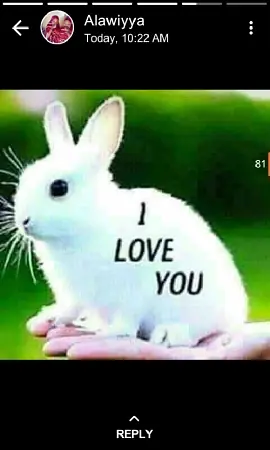 http://www.facebook.com/dorayi babba