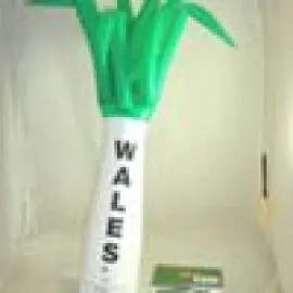 Laughing Leek #4
