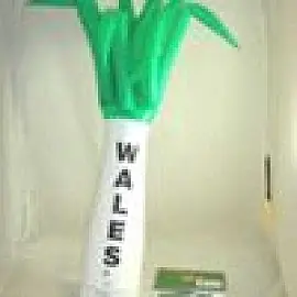 Laughing Leek #4