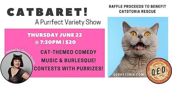Catbaret - comedy show