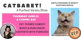 Catbaret - comedy show