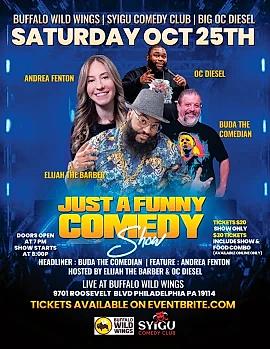JUST A FUNNY COMEDY SHOW - comedy show
