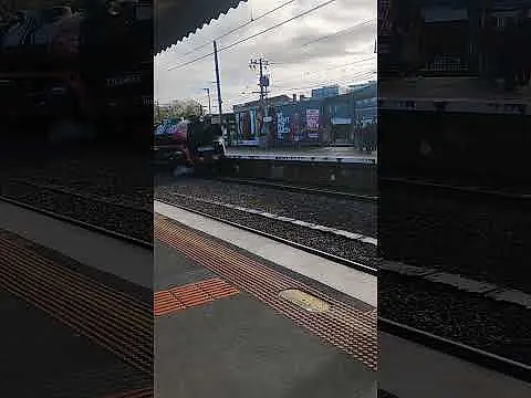 Steam Train at Caulfield!! memories