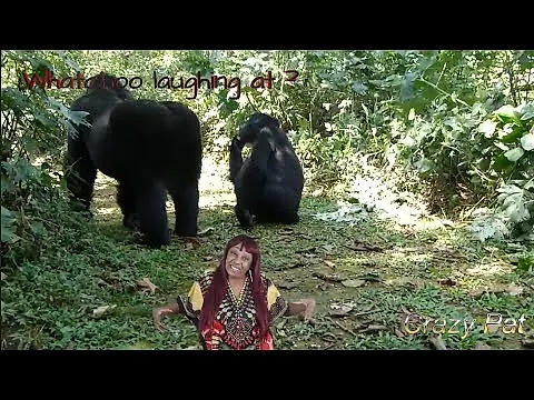 Whatchoo laughing at ? episode 4