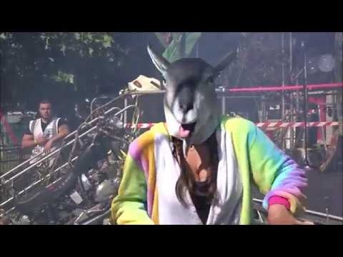 Psycho Acoustic Goat 