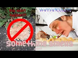 How to Cook Baffangoule! Family Recipe 