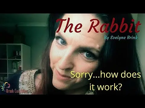 The rabbit