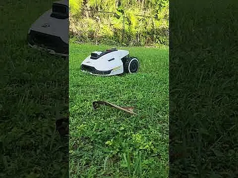 QUIET! Robot Lawn Mower