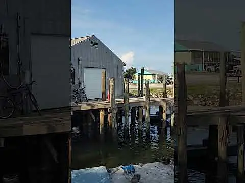 SHRiMP🦐BOAT